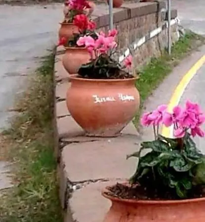 The Flowers Lejlighed *